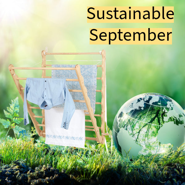 Sustainable September, Small Steps Big Change & Reflection on Laundry Ladder